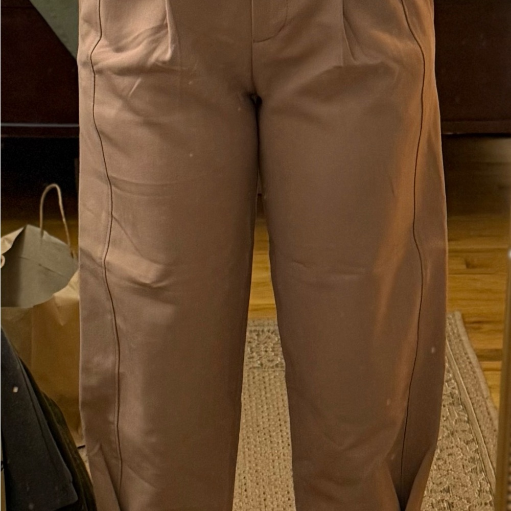 Zara Tan Trousers
